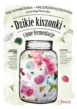 Projekt okładki „Dzikie kiszonki i inne fermentacje”.